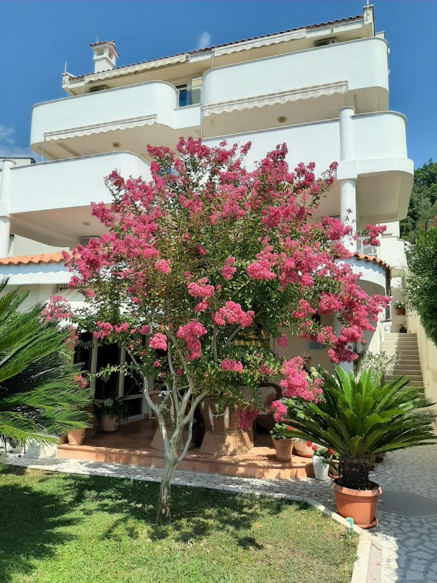 Apartments Villa Mare Mar Sutomore Exterior foto